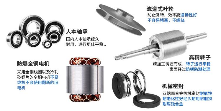 IHG型不銹鋼立式單級離心泵細節(jié)