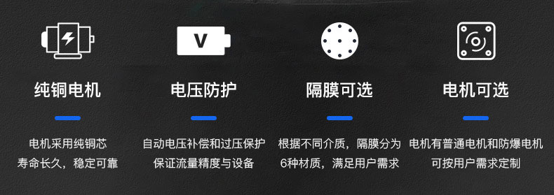 龍洋電動隔膜泵優(yōu)勢所在