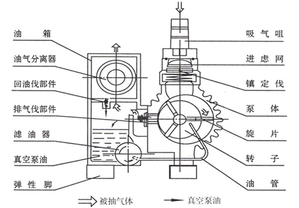 XD單級(jí)旋片式真空泵結(jié)構(gòu)圖